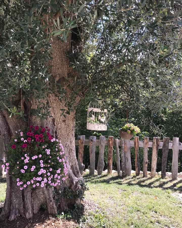 Agriturismo Le Faeta Arpino Exterior photo